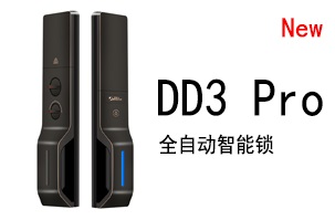 一图了解罗曼斯DD3 Pro